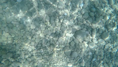 seafloor covered on stones and rocks with beautiful sunlight reflections moving and taking different shapes