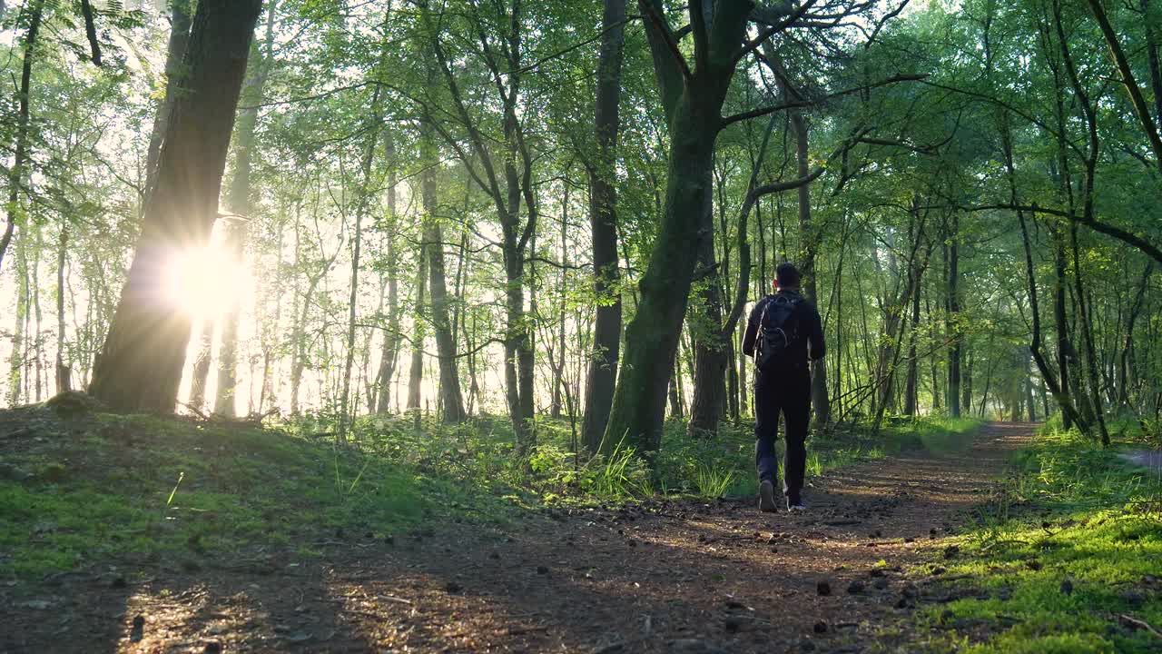In Veluwe's serene forest, a man walks leisurely down a sun-dappled path. Early light filters through lush green trees, casting gentle shadows. A peaceful, nature-filled scene