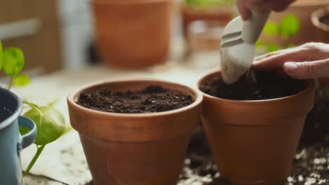 Mujer-De-Cultivo-Poniendo-Tierra-En-Macetas