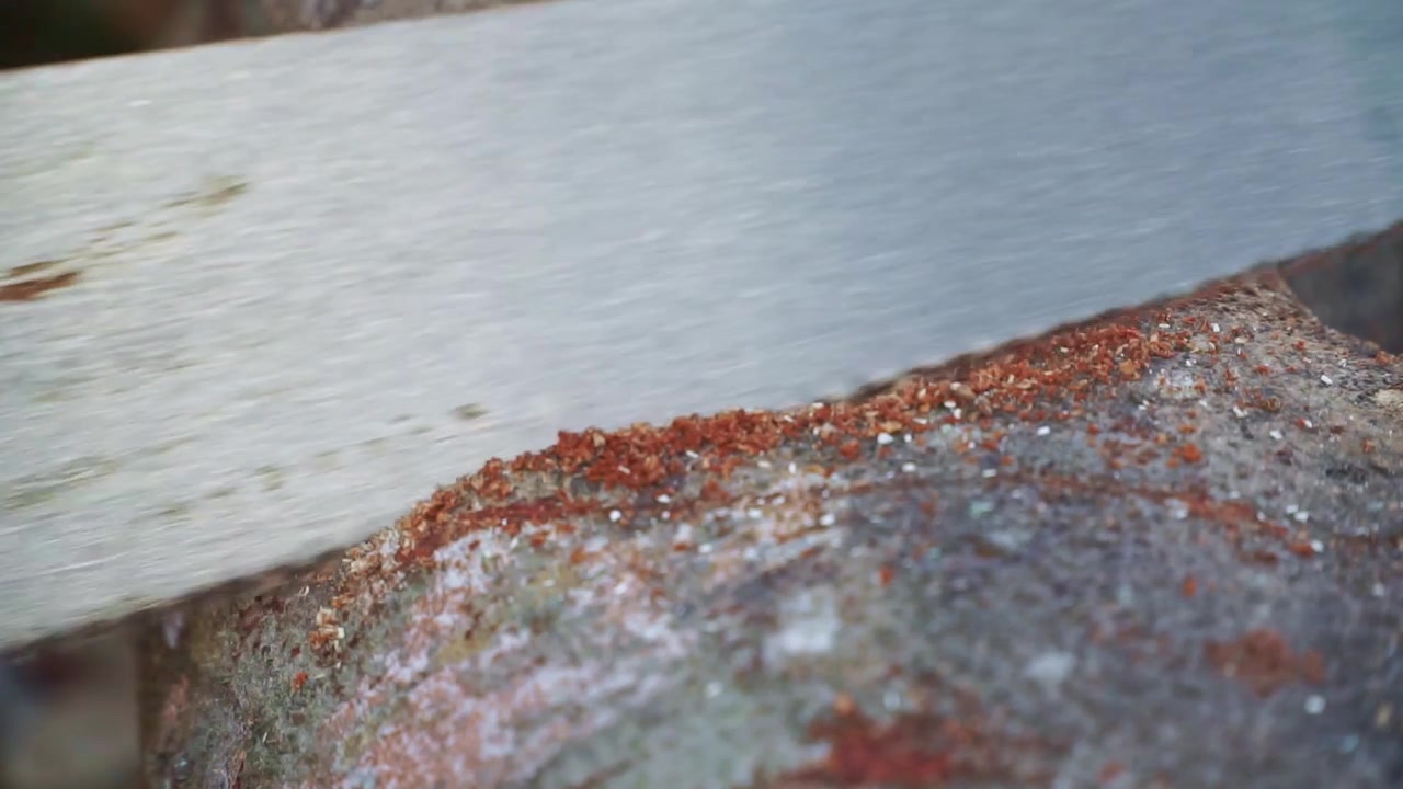 manual saw blade cutting tree trunk, wood bark and fiber detail, woodworking process footage scene.