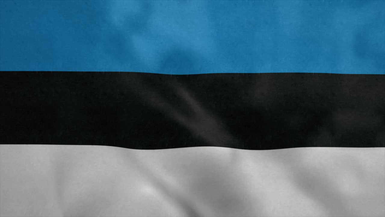 에스토니아의 국기가 바람에 날고 있다.