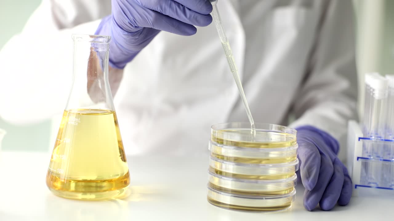 Scientific experiment in laboratory