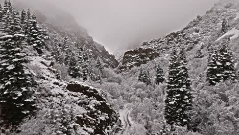 schnee bedeckte kiefernbäume und sträucher linie wanderweg an einem bewölkten grauen bewölkten tag, luftdolly