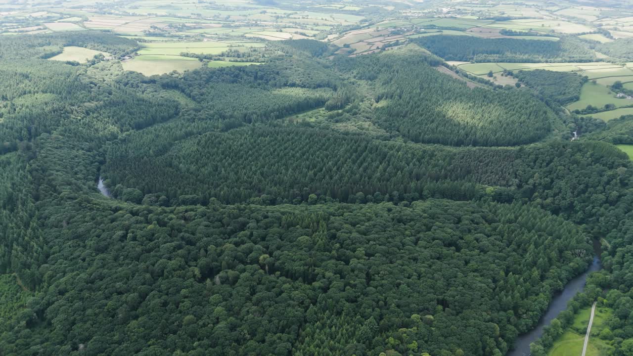 Aerial View of a Dense Forest with a Winding River and Farmland