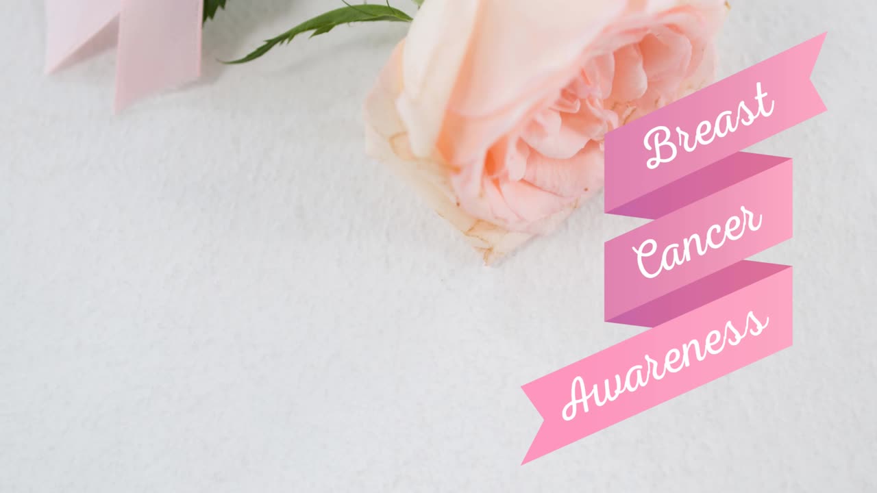 ⁇  장미 위에 있는 유방암 인식 텍스트의 애니메이션