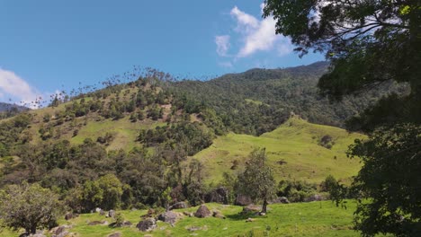 Handheld-establisher-green-countryside-and-mountains-in-Colombia,-Cocora-Valley