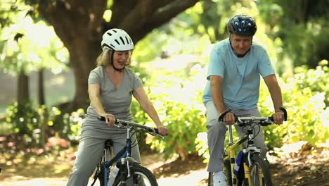 elderly couple walking with bikes