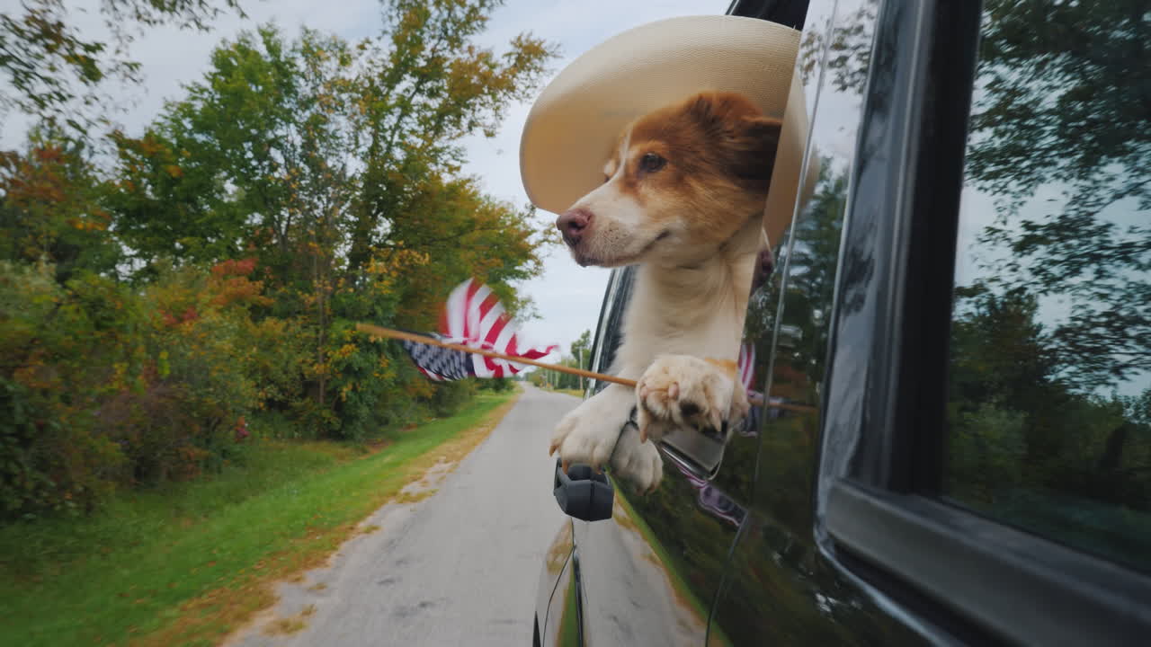모자를 쓰고 미국 국기를 든 개 카우보이가 차에 탄다