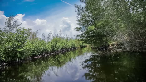 Flight-over-the-surface-of-the-river