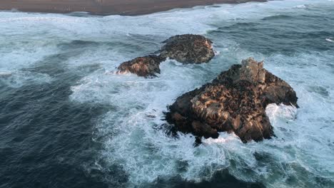 Cobquecura-Piedra-De-La-Loberia-Shrine-With-South-American-Sea-Lion-Colony-Isolated-In-Pacific-Coast,-Chile