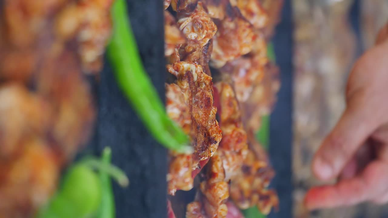 Grilled Chicken Shish Kebab with Green Peppers