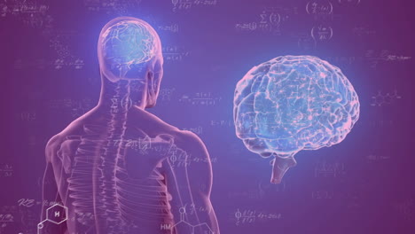 animación del cerebro humano y procesamiento de datos científicos.