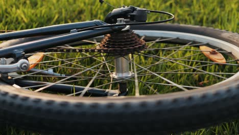 a stunning closeup photograph of a bicycle wheel resting in lush green grass during a magnificent sunset scene