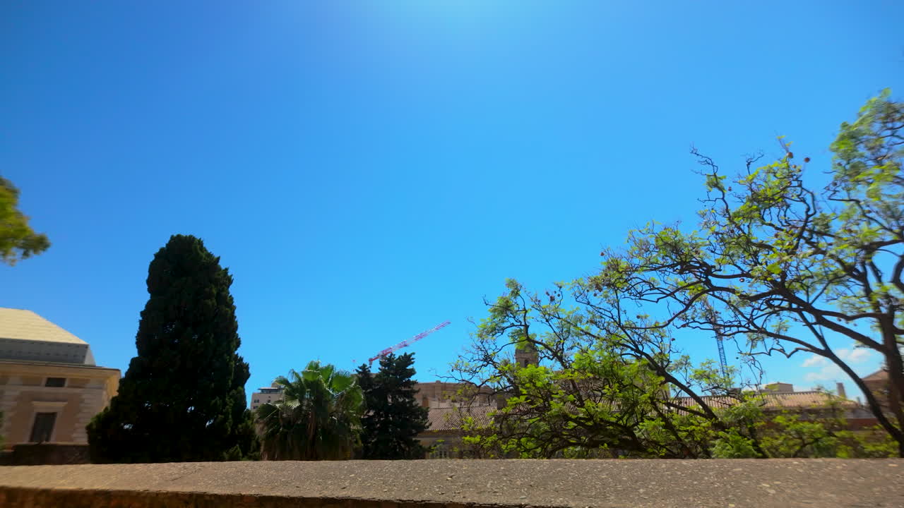Sunny view of Málaga’s cityscape from Gibralfaro, with trees framing the foreground and construction cranes towering over the buildings, set against a clear blue sky
