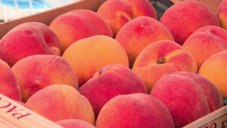 fresh peaches in a wooden crate