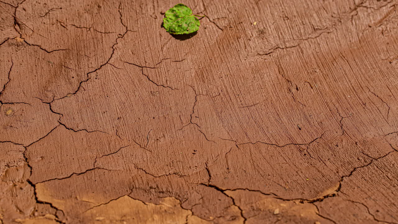el tiempo de calentamiento global del suelo arcilloso se seca en el sol caliente del desierto