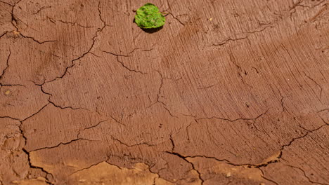 global warming time-lapse of clayey soil dry out in the hot desert sun