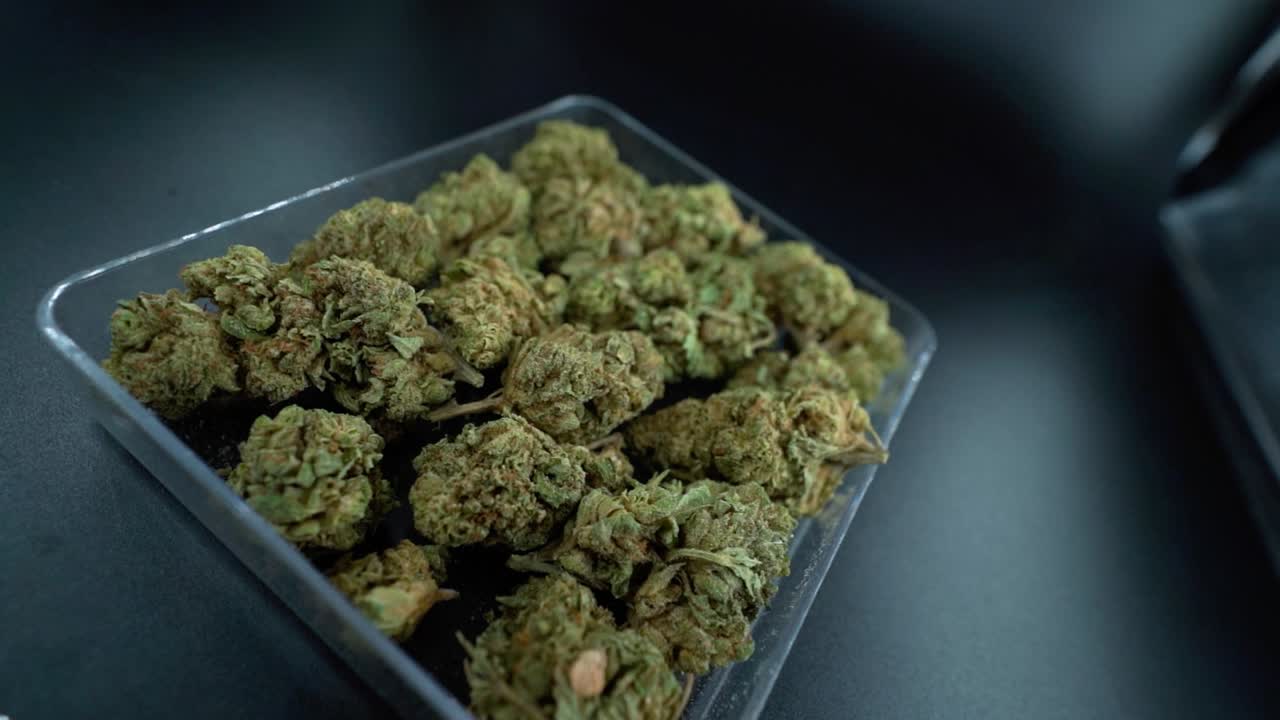 A close up detailed crane rotating movement shot of a cannabis plant, marijuana flower in a clear plate, hybrid strains, Indica and sativa, 120 fps slow motion Full HD, cinematic studio lighting