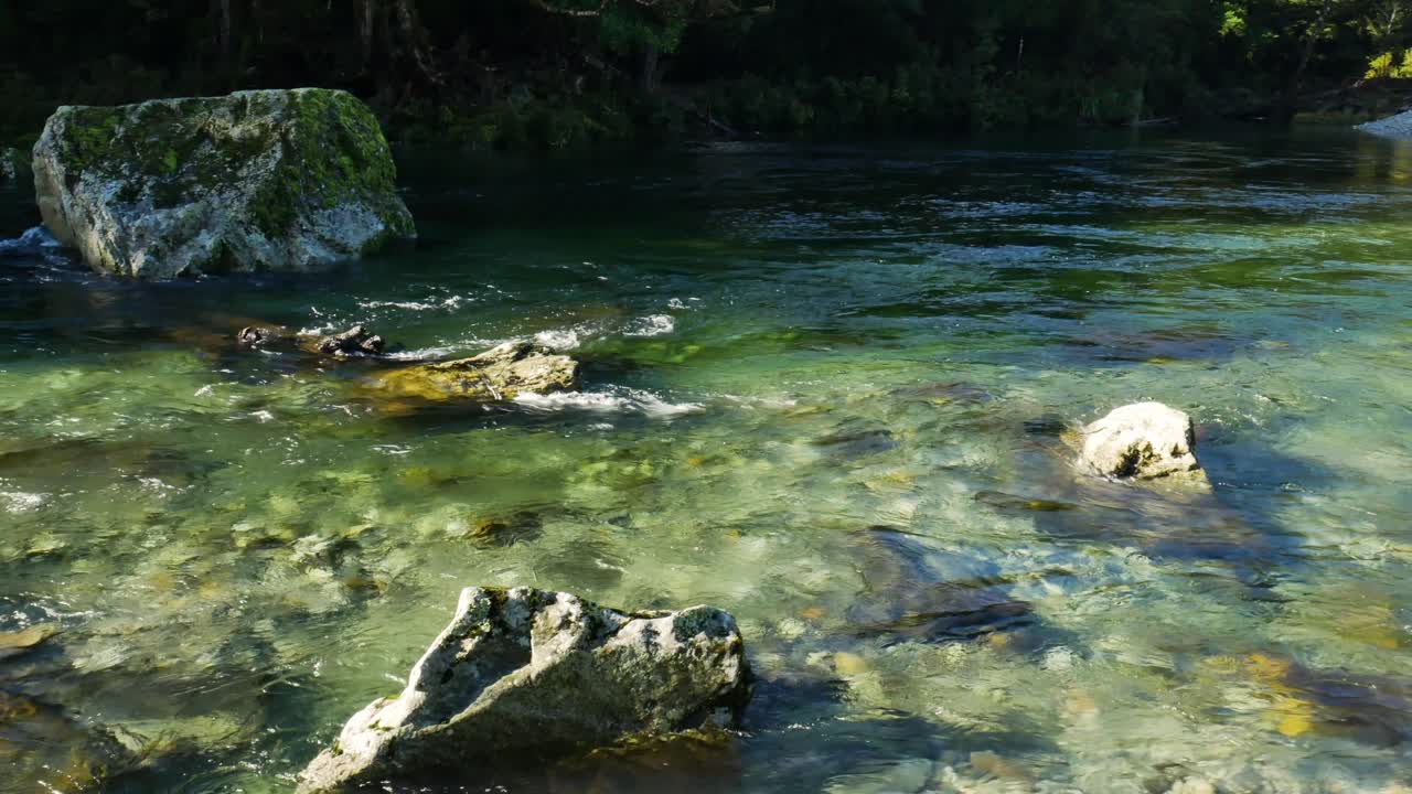 toma panorámica del río tropical claro que fluye entre rocas en la jungla de nueva zelanda iluminada por la luz del sol