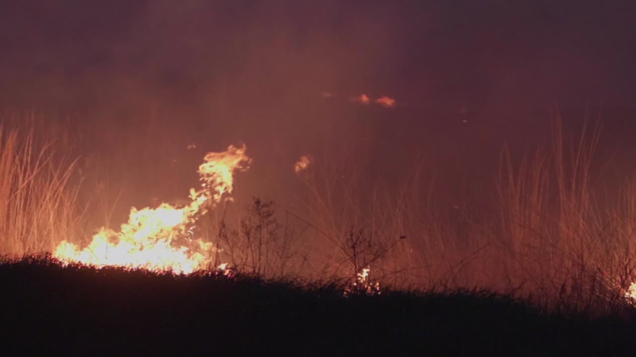 slow motion grass field fire control burn at night