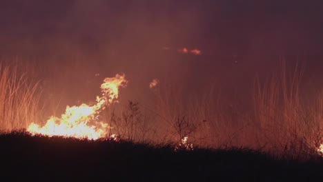 slow motion grass field fire control burn at night