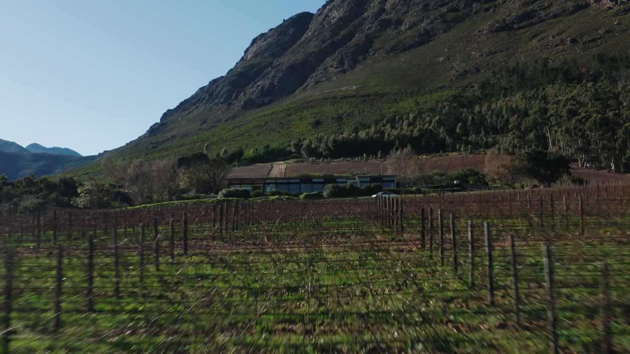 Drone Shot Coming Over the Vineyards of Wine Farm in Franschhoek, South Africa