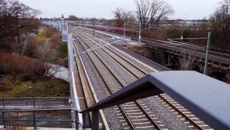 tren puesta de sol río y árboles
