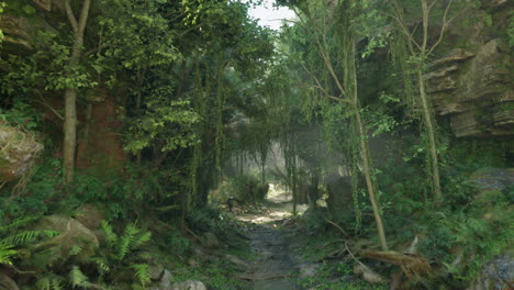 a scenic dirt road winding through a forested landscape with rocky outcrops