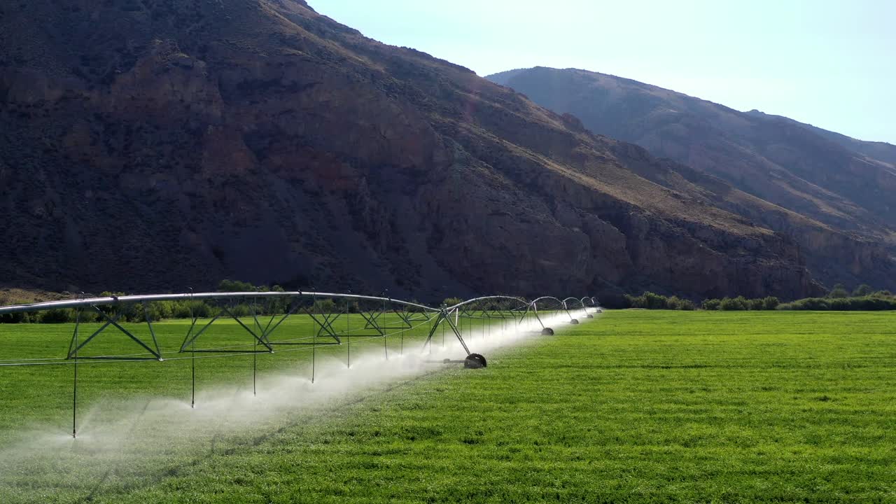 aérea empujando hacia abajo una fila de rociadores que están regando un campo con una montaña en el fondo