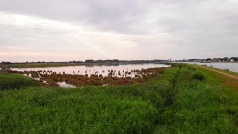 Beautiful-Natural-Pond-In-Green-Fields-At-Day-Light,-Netherlands