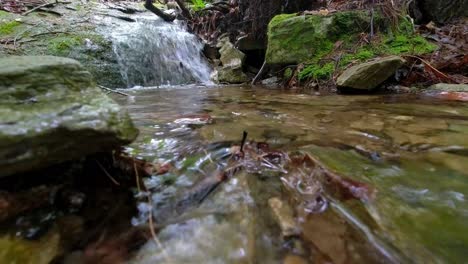 Small-creek-flowing-in-the-blue-ridge-mountains