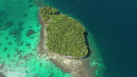 aerial view of a tropical island