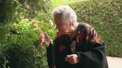 mujer mayor con rosas en el jardín