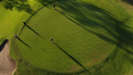 Two-diverse-male-golf-players-playing-golf-at-golf-course-on-sunny-day