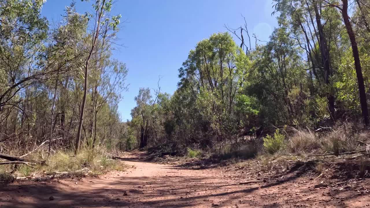 progresión a lo largo de un camino de tierra en una zona boscosa
