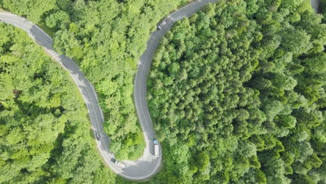 Aerial-view-of-electric-cars-and-trucks-on-curvy-road-in-green-forest