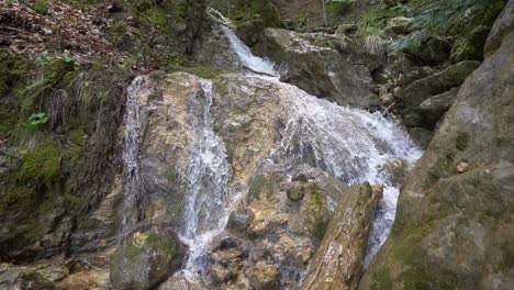 slow motion shot of flowing fresh waterfall stream with green alga in forest - close up 4k
