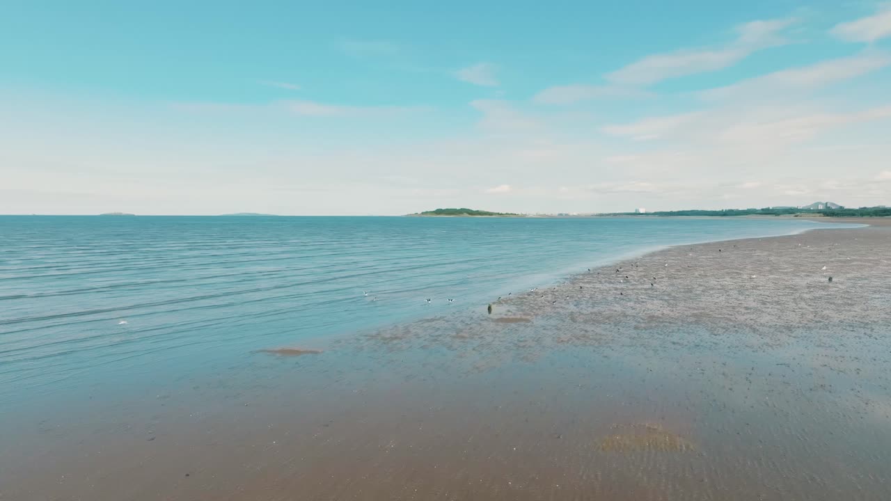 해변을 따라 낮은 공중, 저류, 은 바다, 모래 해변, 해양 새, 빛 여름 날 스코틀랜드 해안