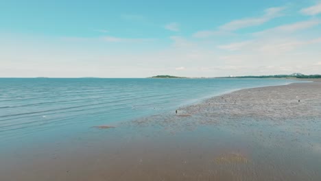 low aerial pan along beach at low tide, turqouise ocean, sandy beach and sea birds on sunny summer day scotland coast