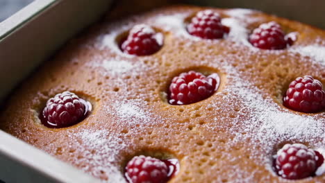 raspberry cake in a pan