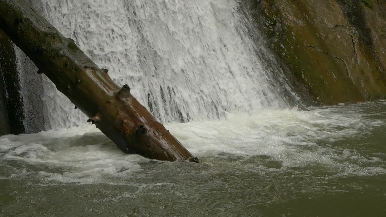 Slow Motion Close-up of Bare Tree Surrounded by Falling Drops of Pruncea Waterfall