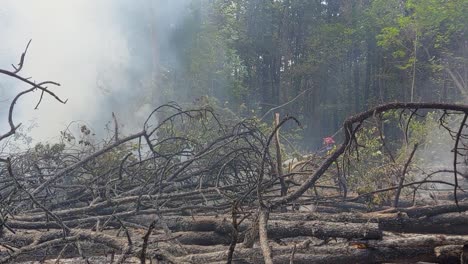 Firefighter-extinguishing-fire-and-pulling-on-hose-on-hard-terrain