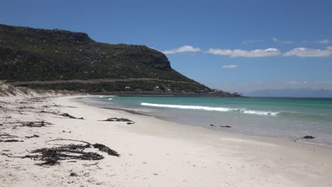 the beach absent of people during covid