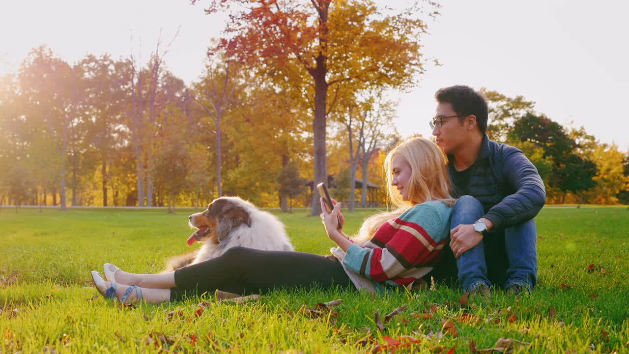 그들의 개 4와 함께 공원에서 휴식 젊은 다민족 부부