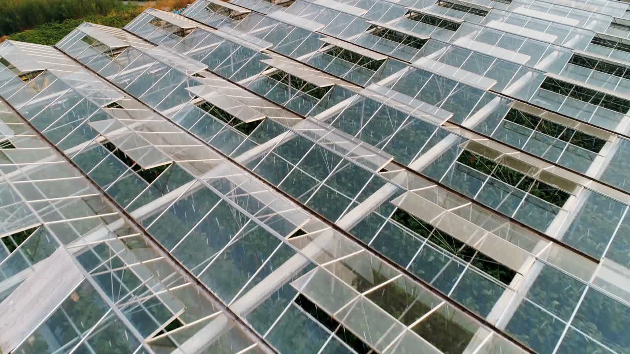 granja verde cubierta con vidrio en el techo 4k