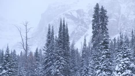 early winter in the canadian rockies