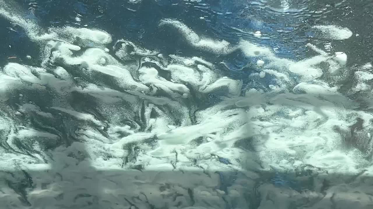 드라이브 스루 익스프레스 자동차 세척