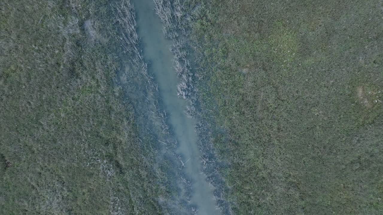 Ripresa aerea dall'alto con drone di una palude salmastra a Greenport, North Fork, Long Island, New York, al tramonto.