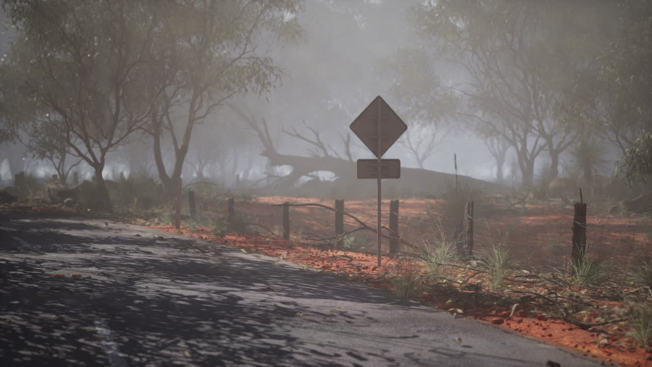 오스트레일리아 외을 가로지르는 안개가 가득한 도로