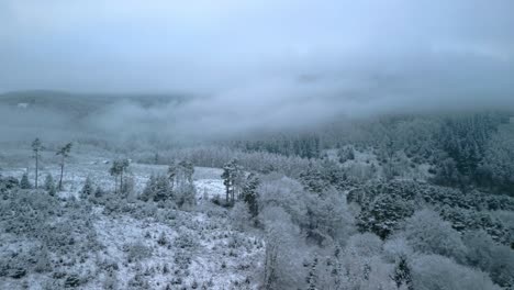 frosty winter morning in forest scrubland with fells covered by cloud and mist